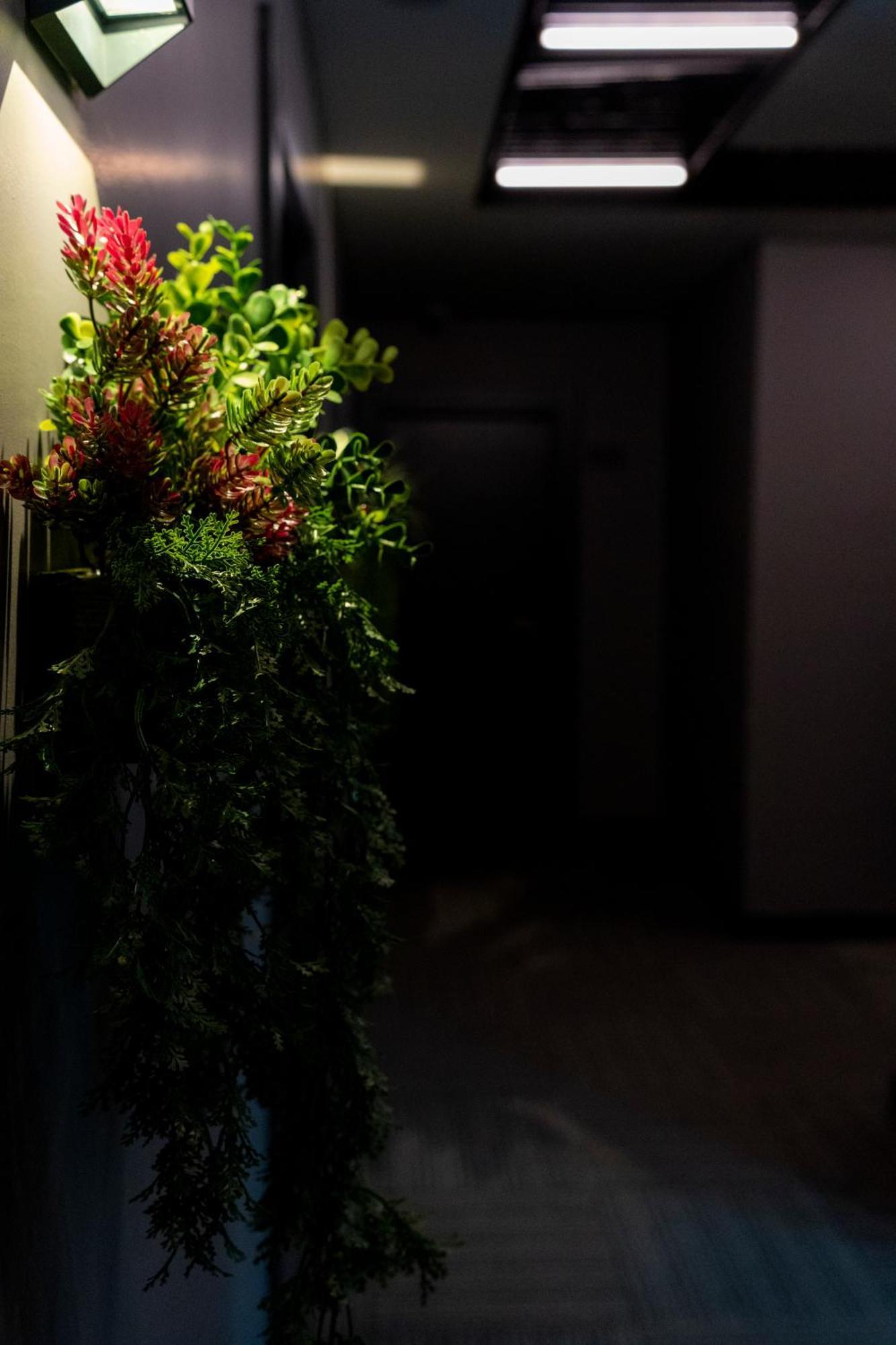 Brandroom Hotel Istanbul Luaran gambar