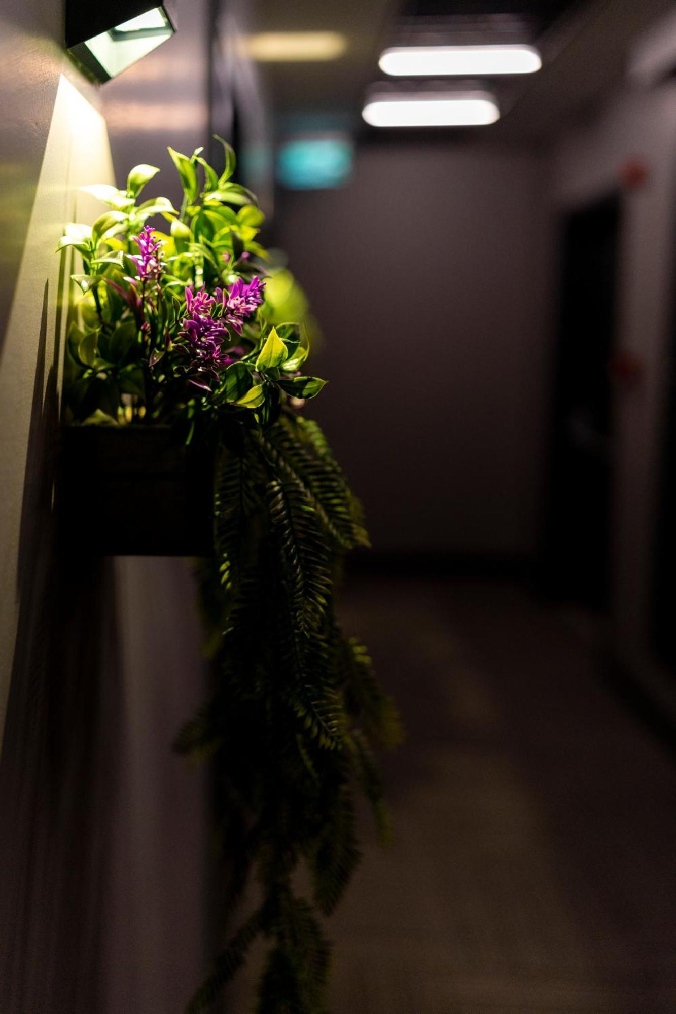 Brandroom Hotel Istanbul Luaran gambar